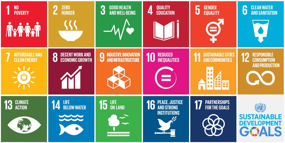 The sustainable development goals